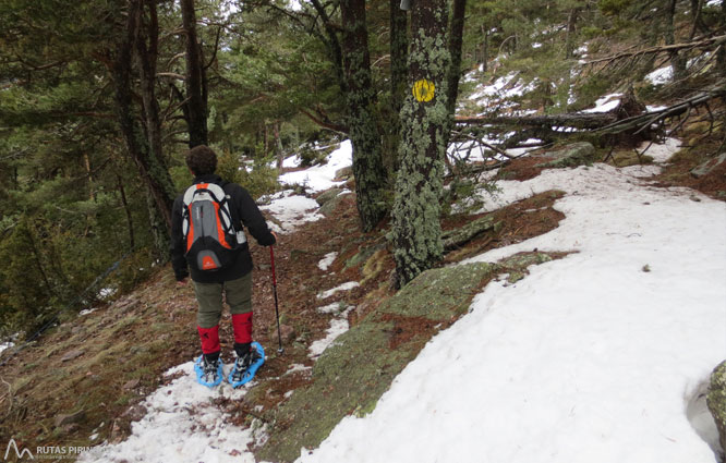 Vuelta al refugio de Comes de Rubió 1 